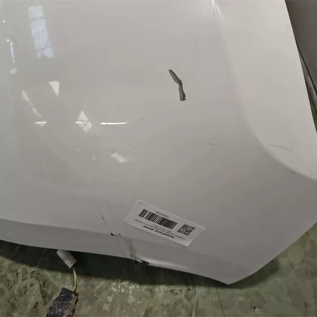 Paraurti posteriore primer