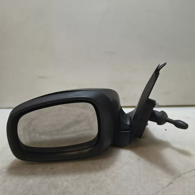 Retrovisore esterno sinistro Tipo 2 nero
