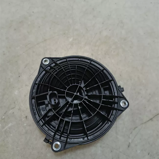 Serratura portello posteriore nero