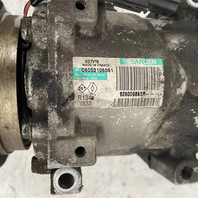 Compressore aria condizionata Sanden