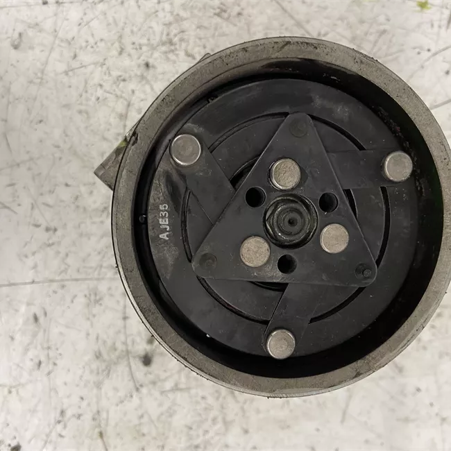Compressore aria condizionata Sanden
