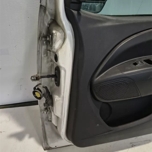 Porta anteriore destra