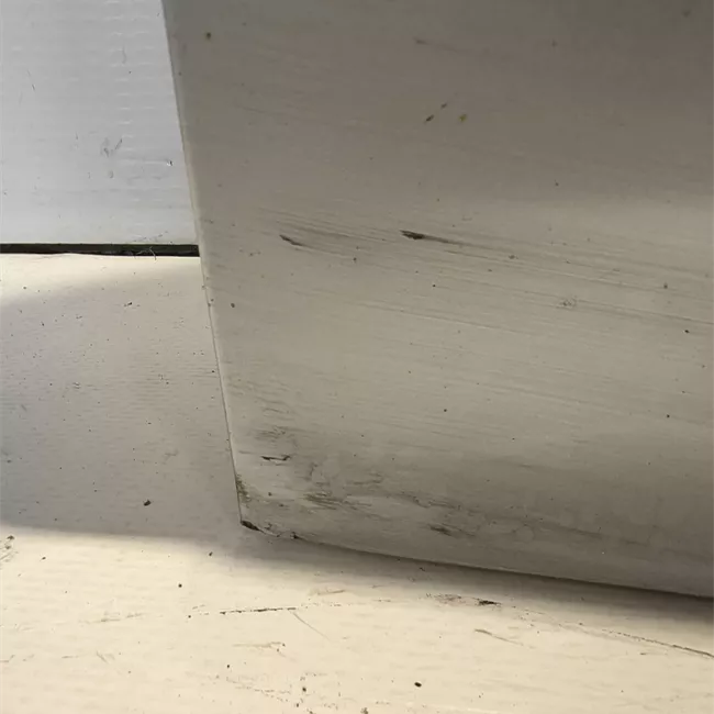 Pannello esterno porta anteriore sinistro