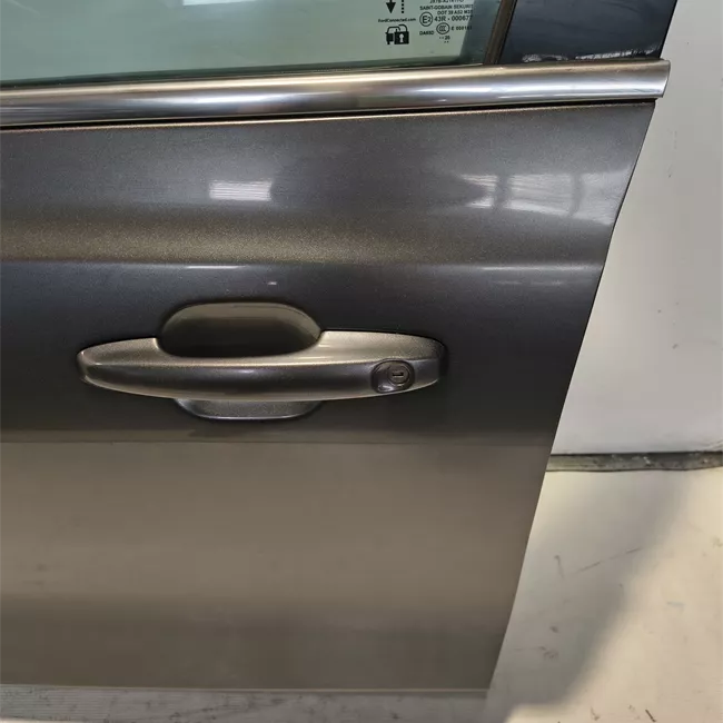 Porta anteriore sinistra