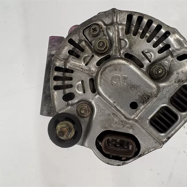 Alternatore rotazionale ione 110A