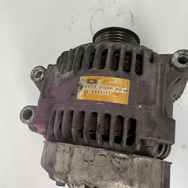 Alternatore rotazionale ione 110A