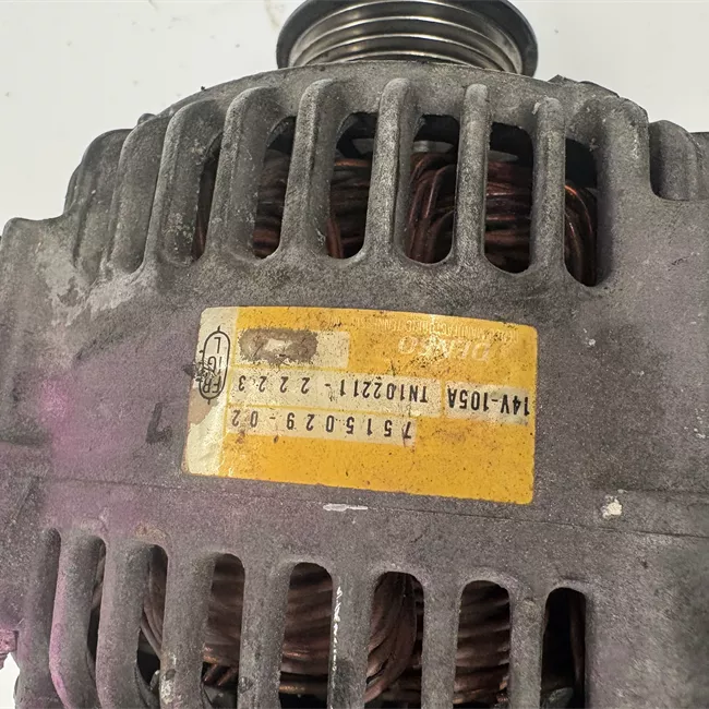Alternatore rotazionale ione 110A