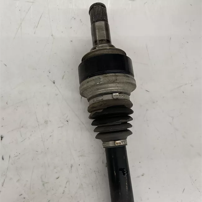 Semialbero posteriore completo sinistro