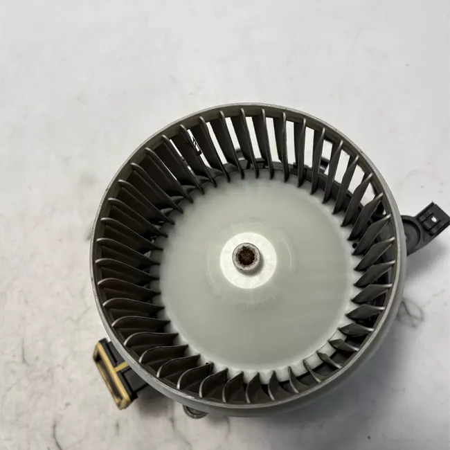 Motorino ventilazione abitacolo