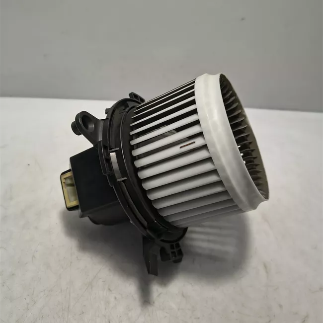 Motorino ventilazione abitacolo