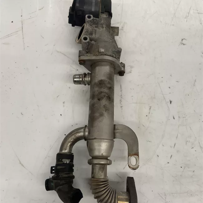 Scambiatore calore EGR