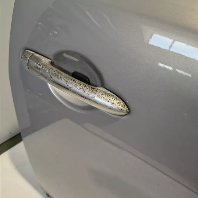 Porta anteriore destra