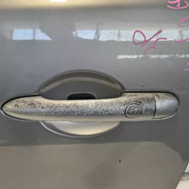 Porta anteriore sinistra