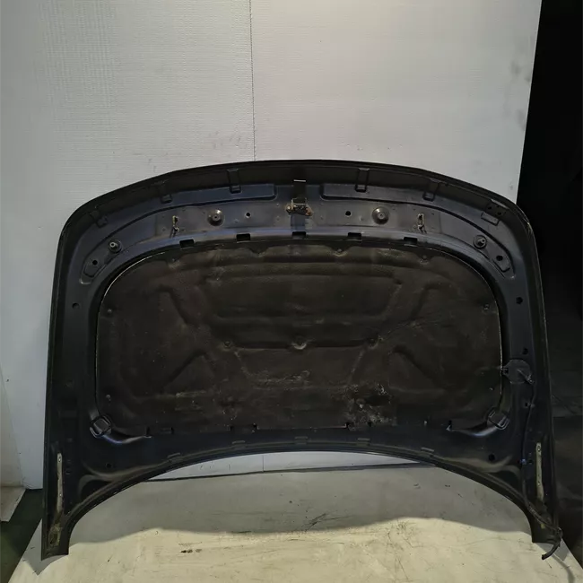 Cofano anteriore