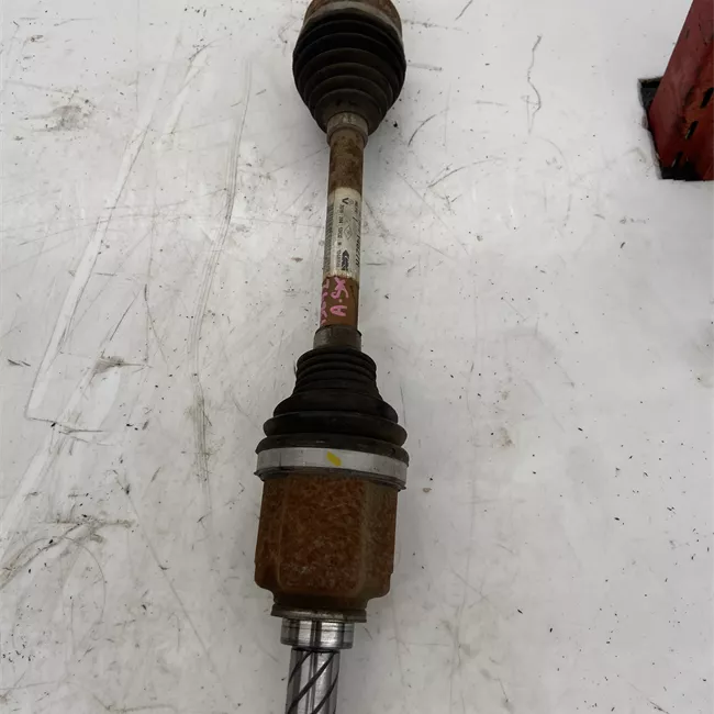 Semialbero anteriore completo sinistro