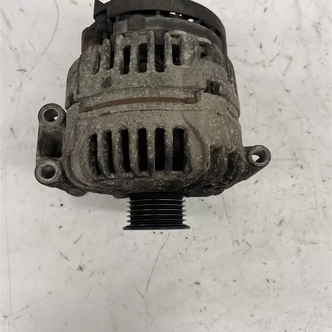Alternatore rotazionale ione 110A