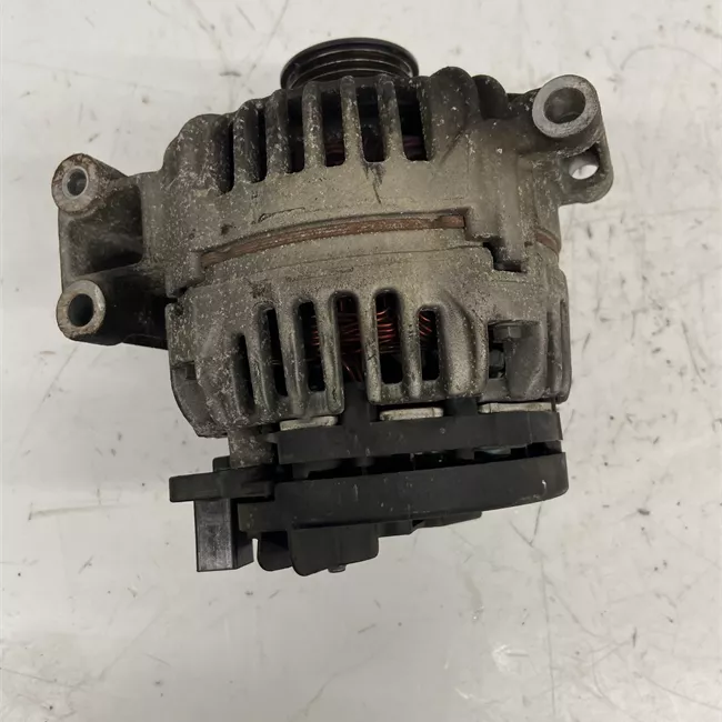 Alternatore rotazionale ione 110A