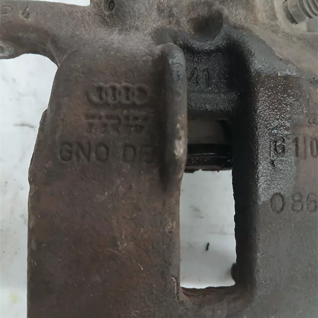 Pinza freno posteriore destra 302x12mm