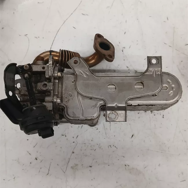Scambiatore calore EGR