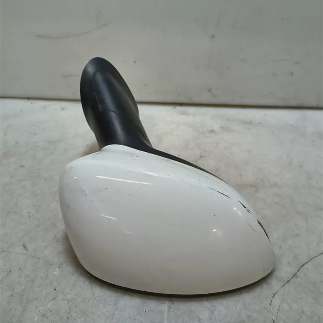 Retrovisore esterno destro Elettrico termico con sonda