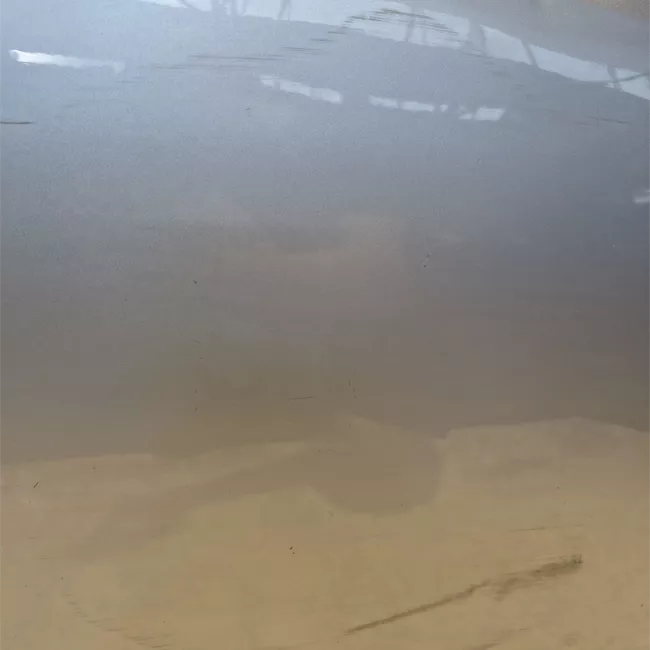 Porta anteriore destra