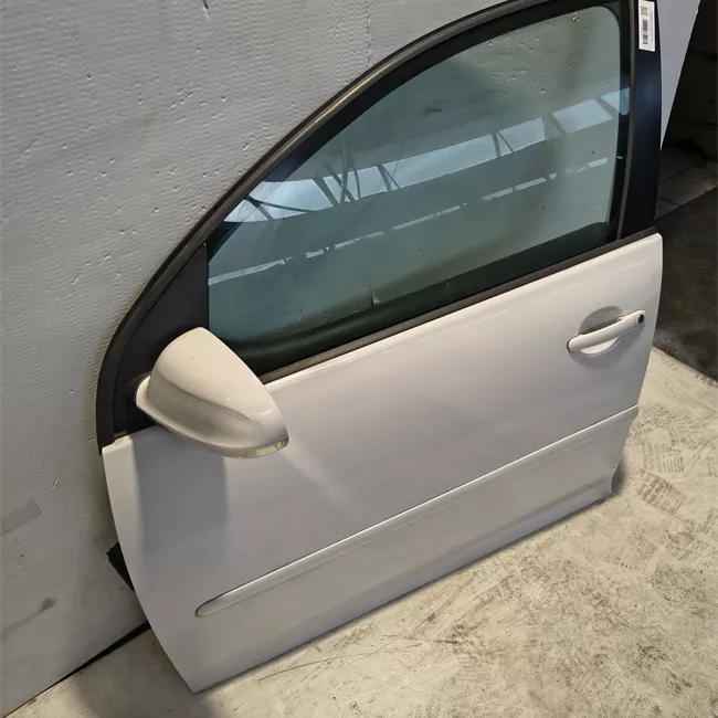 Pannello esterno porta anteriore sinistro