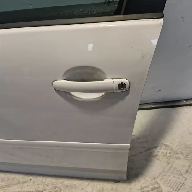 Pannello esterno porta anteriore sinistro