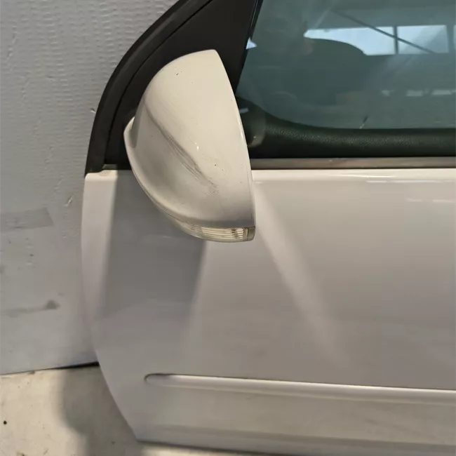 Pannello esterno porta anteriore sinistro
