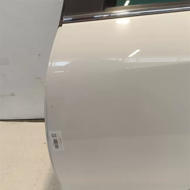 Porta posteriore sinistra