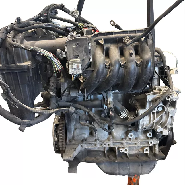 Motore semicompleto rotazionale