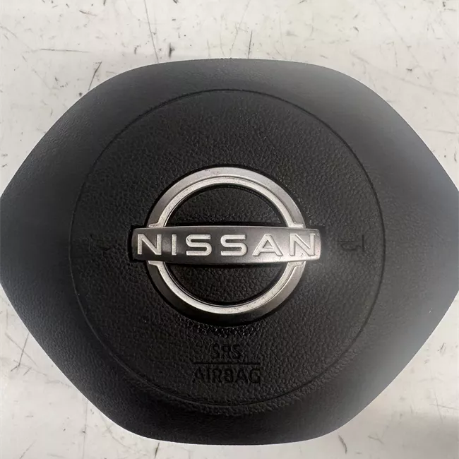 Dispositivo airbag lato guida