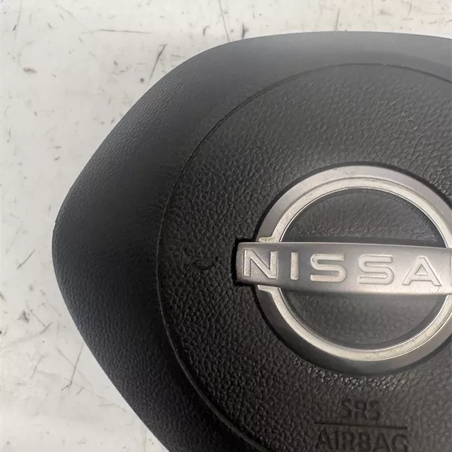 Dispositivo airbag lato guida