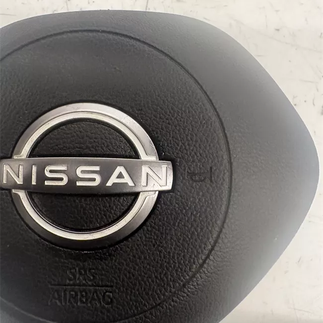 Dispositivo airbag lato guida