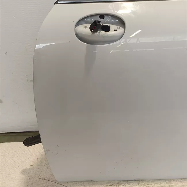 Porta anteriore sinistra