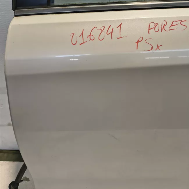 Porta posteriore sinistra
