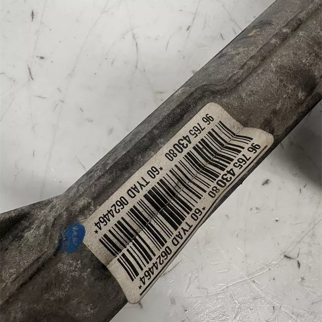 Scatola sterzo servoassistita elettronica