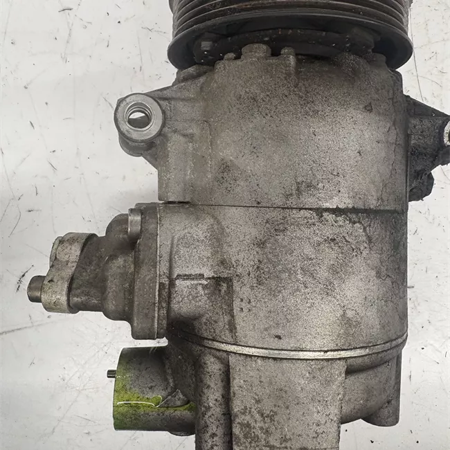 Compressore aria condizionata Sanden