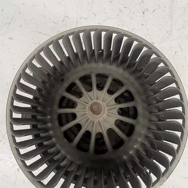Motorino ventilazione abitacolo