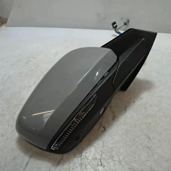 Retrovisore esterno regolazione elettrica destro luci auto extenumero