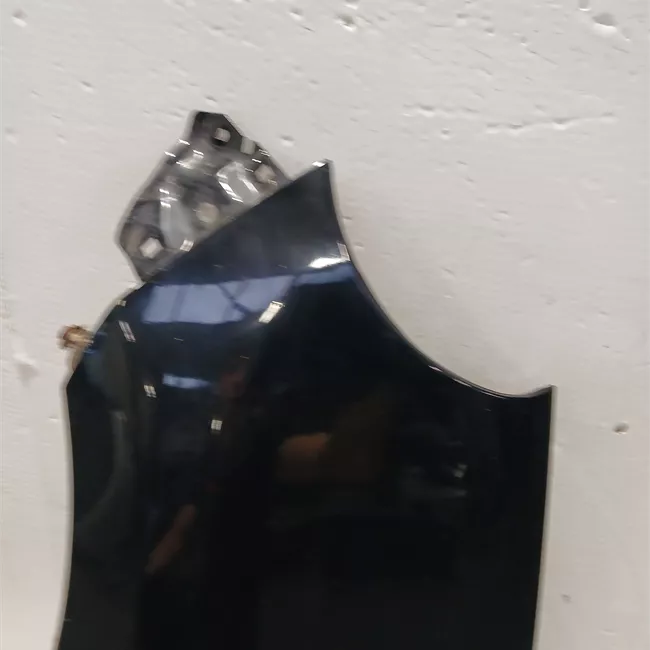 Parafango anteriore sinistro