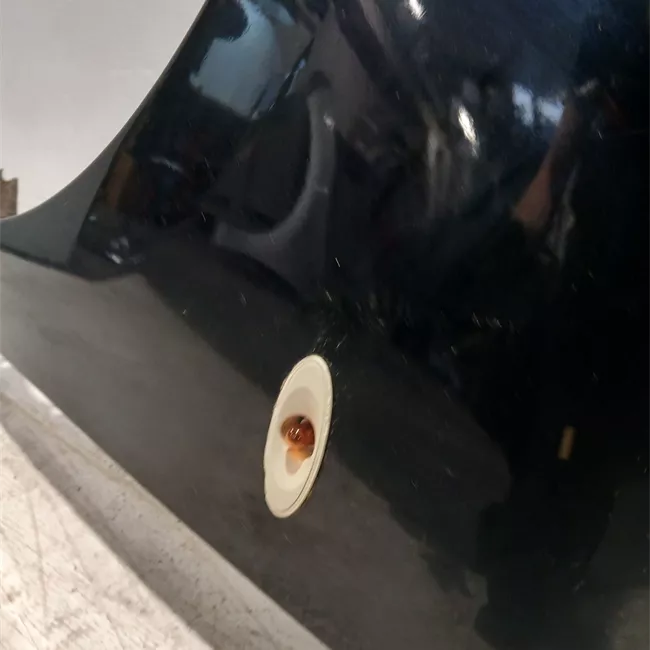 Parafango anteriore sinistro