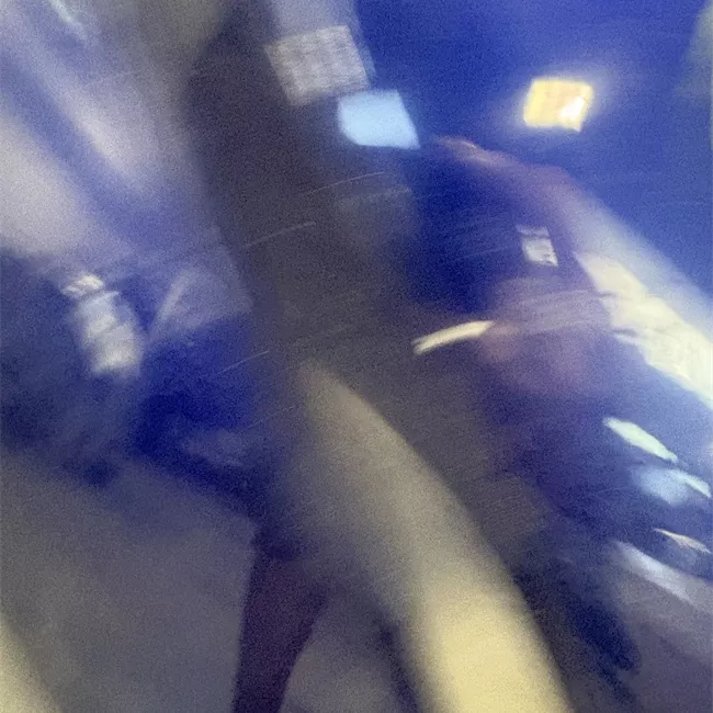 Porta posteriore sinistra