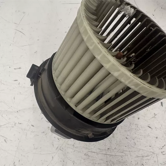 Motorino ventilazione abitacolo