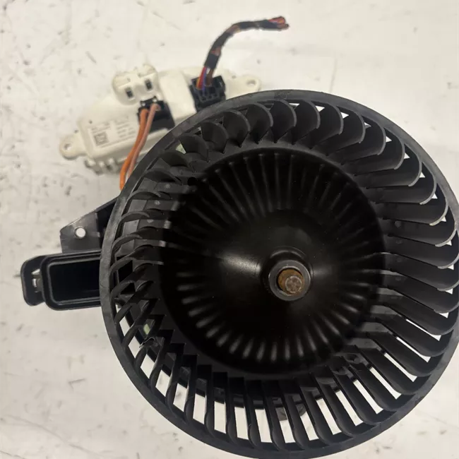 Motorino ventilazione abitacolo