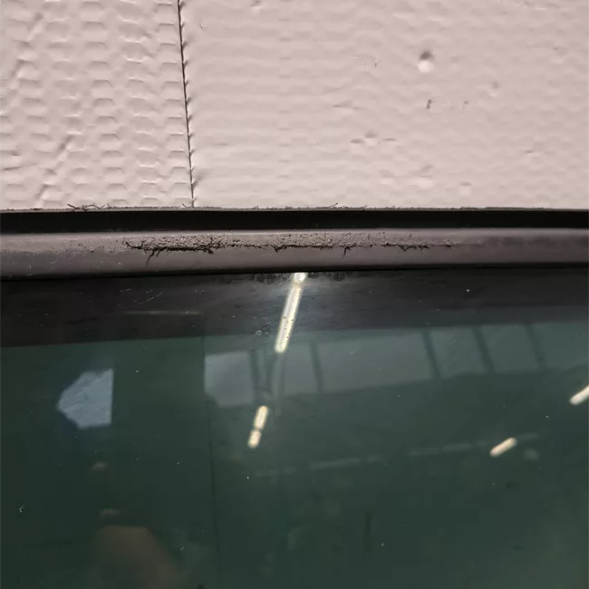 Porta posteriore sinistra