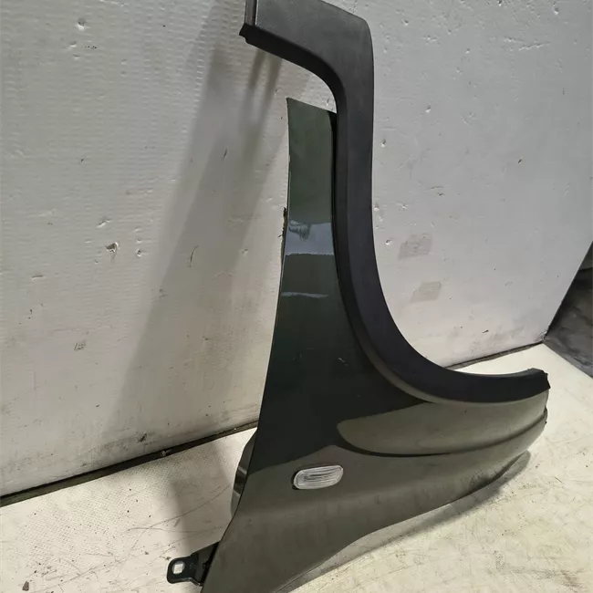 Parafango anteriore sinistro Trekking Climbing