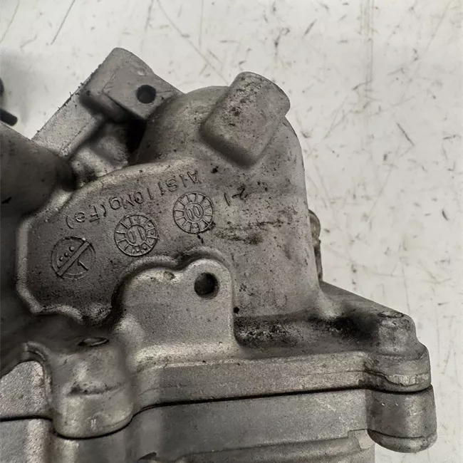 Scambiatore calore EGR Euro 5, con elettrovalvola