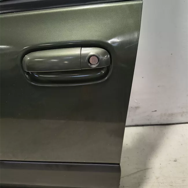 Porta anteriore sinistra con fasce paracolpi