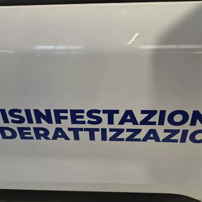 Porta anteriore destra