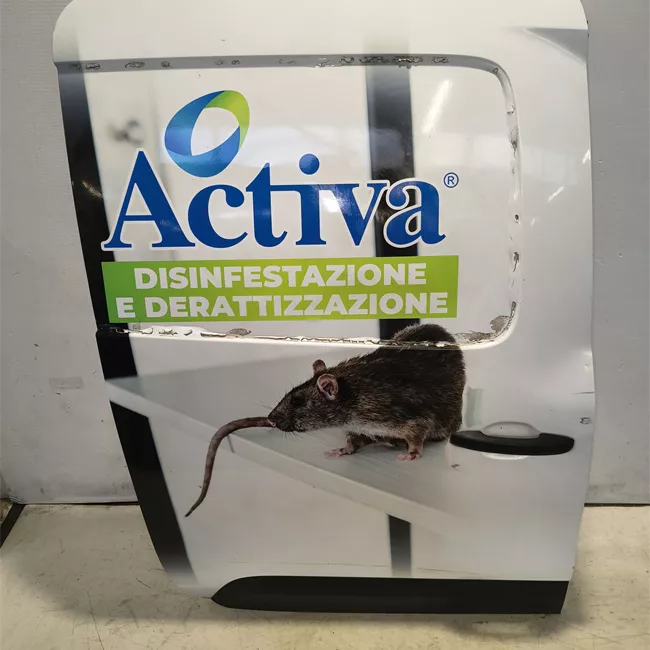 Porta posteriore destra